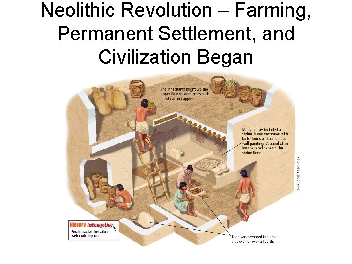 Neolithic Revolution – Farming, Permanent Settlement, and Civilization Began 