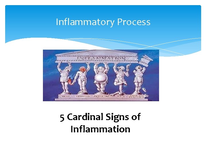 Inflammatory Process 5 Cardinal Signs of Inflammation 