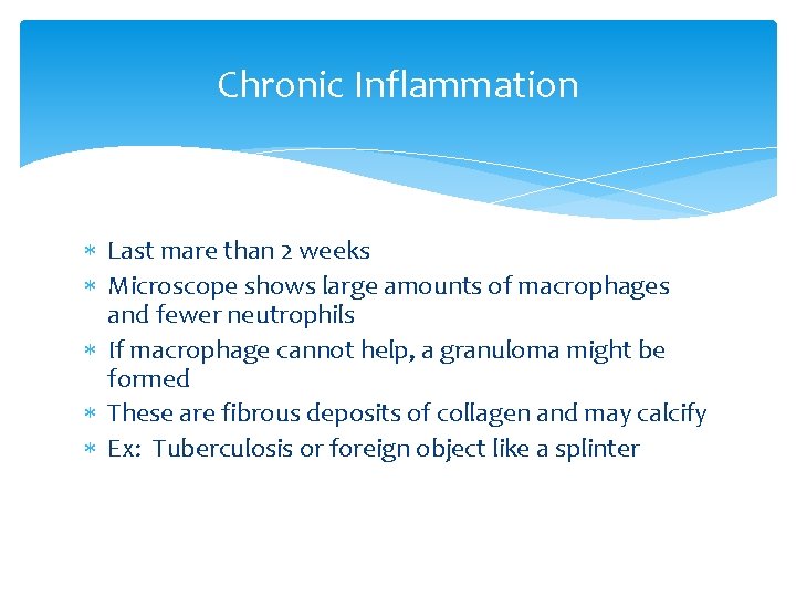 Chronic Inflammation Last mare than 2 weeks Microscope shows large amounts of macrophages and
