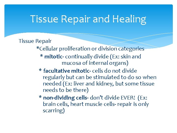 Tissue Repair and Healing Tissue Repair *Cellular proliferation or division categories * mitotic- continually