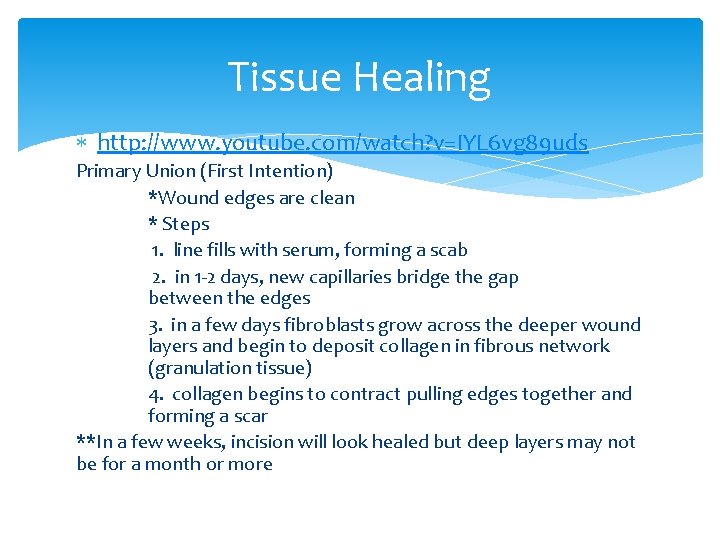 Tissue Healing http: //www. youtube. com/watch? v=IYL 6 vg 89 uds Primary Union (First