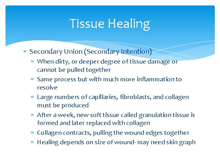 Tissue Healing Secondary Union (Secondary Intention) When dirty, or deeper degree of tissue damage