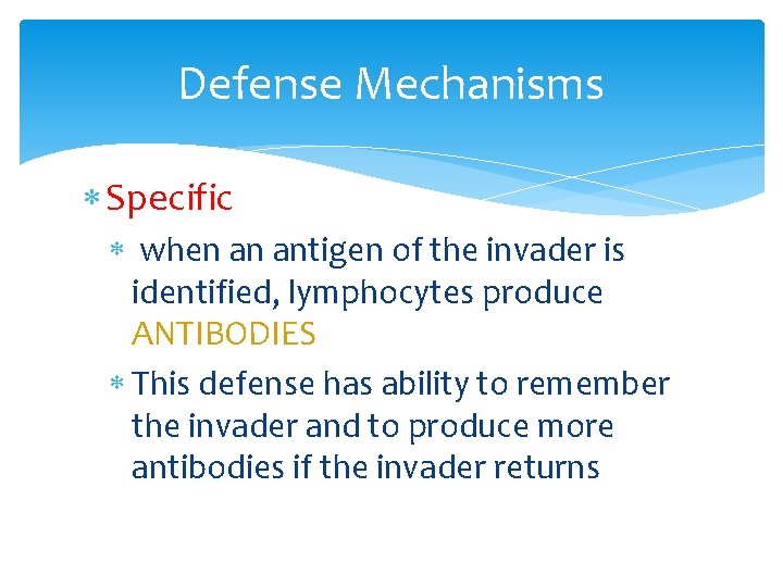 Defense Mechanisms Specific when an antigen of the invader is identified, lymphocytes produce ANTIBODIES