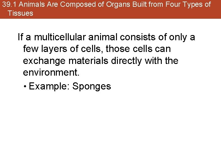 39. 1 Animals Are Composed of Organs Built from Four Types of Tissues If