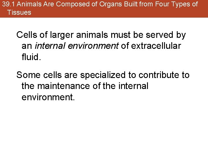 39. 1 Animals Are Composed of Organs Built from Four Types of Tissues Cells