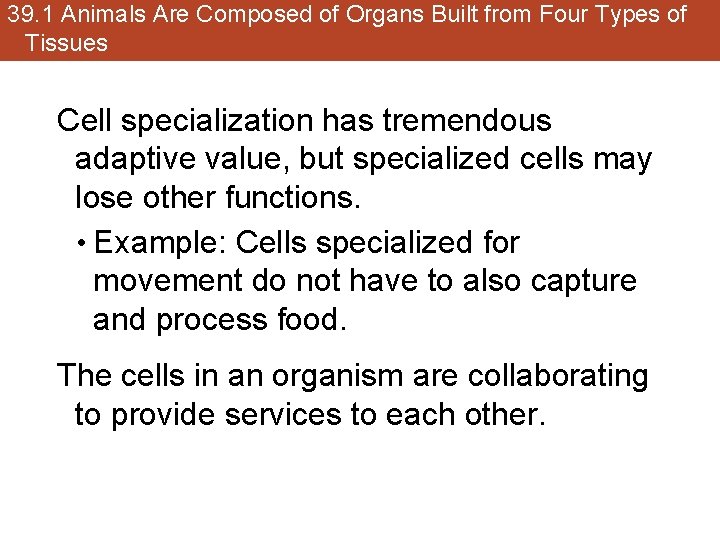 39. 1 Animals Are Composed of Organs Built from Four Types of Tissues Cell