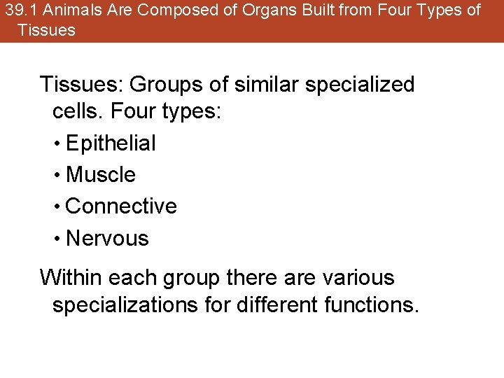 39. 1 Animals Are Composed of Organs Built from Four Types of Tissues: Groups
