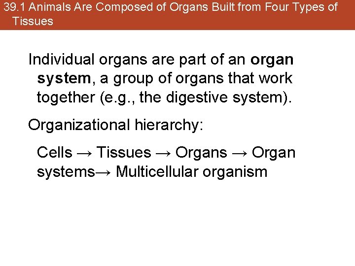 39. 1 Animals Are Composed of Organs Built from Four Types of Tissues Individual