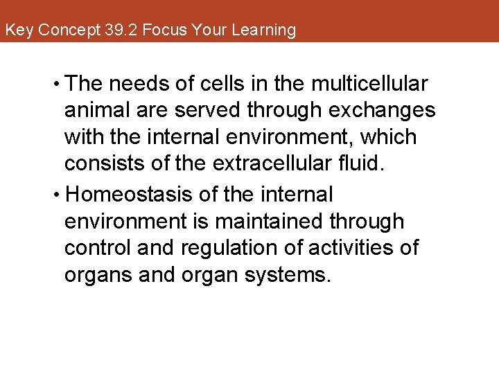 Key Concept 39. 2 Focus Your Learning • The needs of cells in the