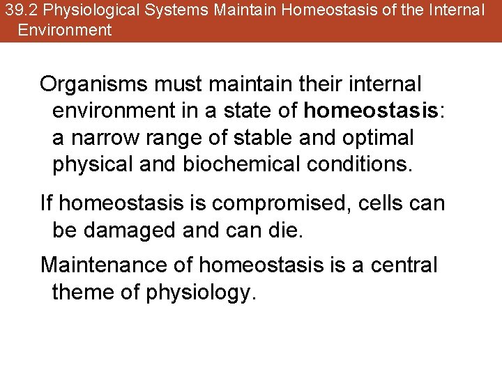 39. 2 Physiological Systems Maintain Homeostasis of the Internal Environment Organisms must maintain their