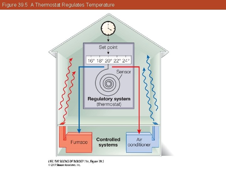 Figure 39. 5 A Thermostat Regulates Temperature 