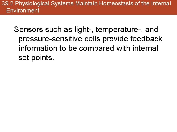 39. 2 Physiological Systems Maintain Homeostasis of the Internal Environment Sensors such as light-,