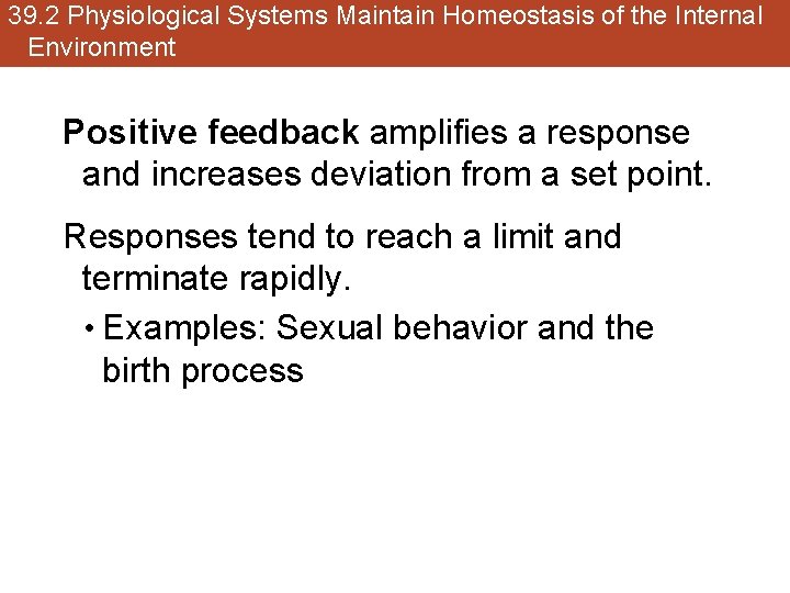 39. 2 Physiological Systems Maintain Homeostasis of the Internal Environment Positive feedback amplifies a