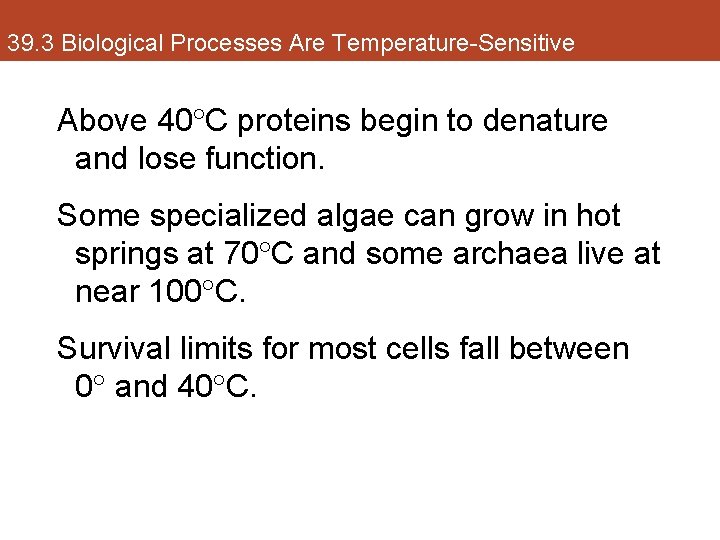 39. 3 Biological Processes Are Temperature-Sensitive Above 40 C proteins begin to denature and