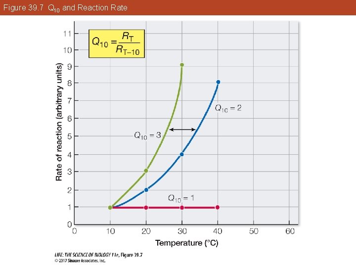Figure 39. 7 Q 10 and Reaction Rate 