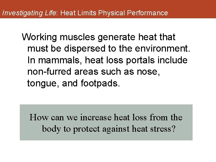 Investigating Life: Heat Limits Physical Performance Working muscles generate heat that must be dispersed