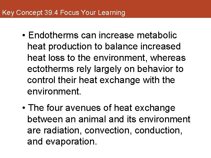 Key Concept 39. 4 Focus Your Learning • Endotherms can increase metabolic heat production