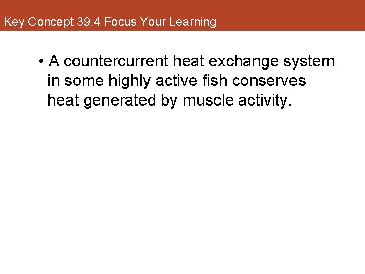 Key Concept 39. 4 Focus Your Learning • A countercurrent heat exchange system in