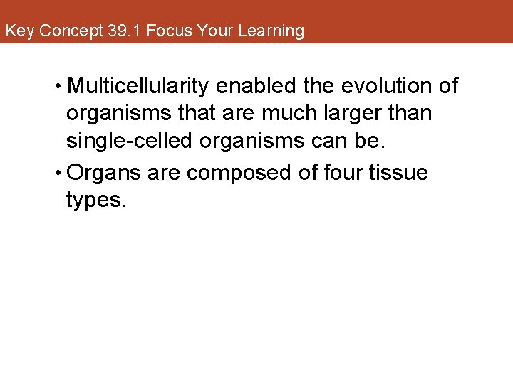 Key Concept 39. 1 Focus Your Learning • Multicellularity enabled the evolution of organisms
