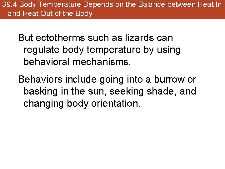 39. 4 Body Temperature Depends on the Balance between Heat In and Heat Out