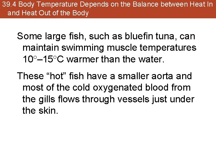 39. 4 Body Temperature Depends on the Balance between Heat In and Heat Out