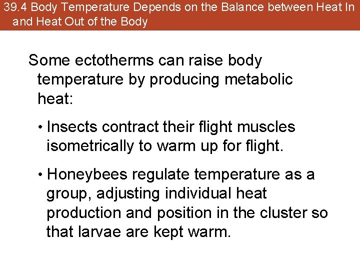 39. 4 Body Temperature Depends on the Balance between Heat In and Heat Out