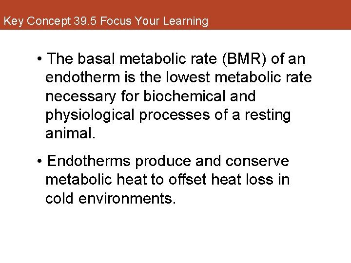 Key Concept 39. 5 Focus Your Learning • The basal metabolic rate (BMR) of