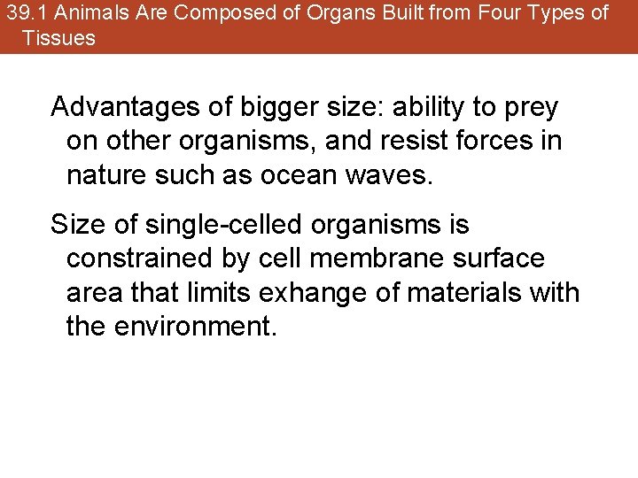 39. 1 Animals Are Composed of Organs Built from Four Types of Tissues Advantages