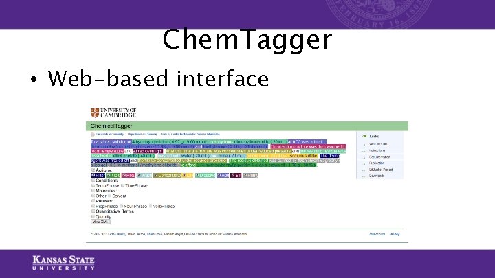 Chem. Tagger • Web-based interface Chem. Tagger • Web-based interface