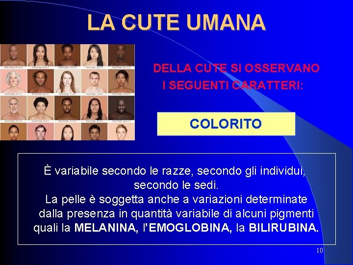 LA CUTE UMANA DELLA CUTE SI OSSERVANO I SEGUENTI CARATTERI: COLORITO È variabile secondo LA CUTE UMANA DELLA CUTE SI OSSERVANO I SEGUENTI CARATTERI: COLORITO È variabile secondo