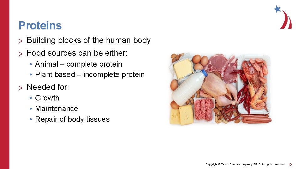 Proteins > Building blocks of the human body > Food sources can be either: