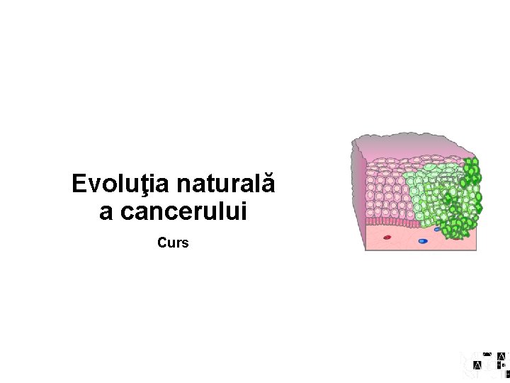 Evoluţia naturală a cancerului Curs 