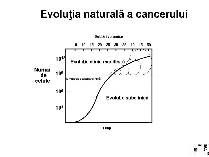 Evoluţia naturală a cancerului Dublări volumice 5 1012 Număr 109 de celule 10 15