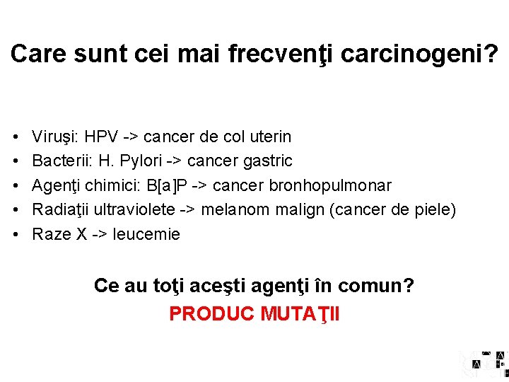 Care sunt cei mai frecvenţi carcinogeni? • • • Viruşi: HPV -> cancer de