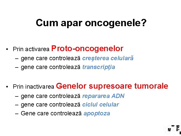 Cum apar oncogenele? • Prin activarea Proto-oncogenelor – gene care controlează creşterea celulară –