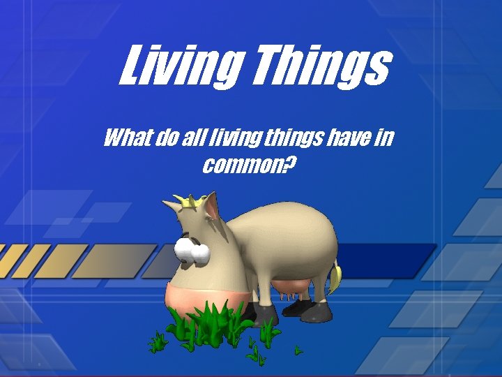 Living Things What do all living things have in common? 