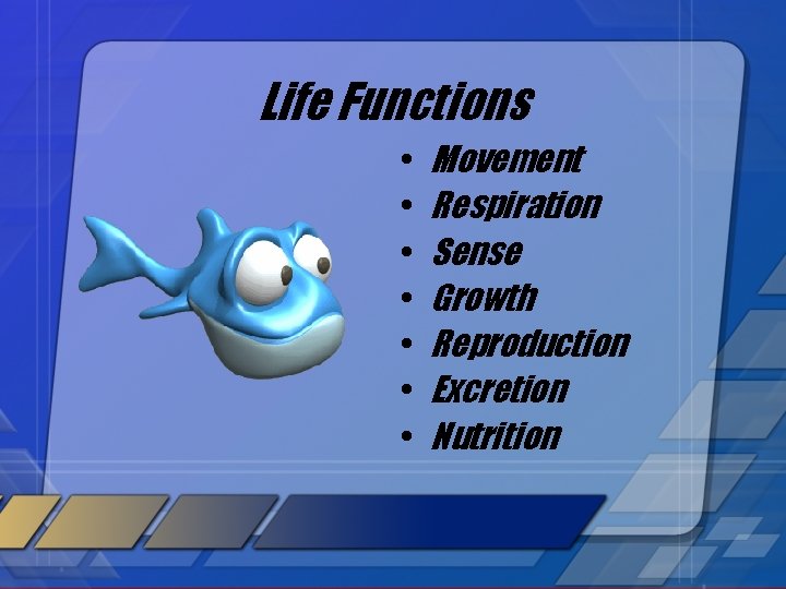 Life Functions • • Movement Respiration Sense Growth Reproduction Excretion Nutrition 