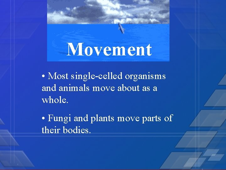 Movement • Most single-celled organisms and animals move about as a whole. • Fungi