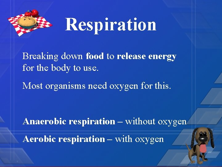 Respiration Breaking down food to release energy for the body to use. Most organisms