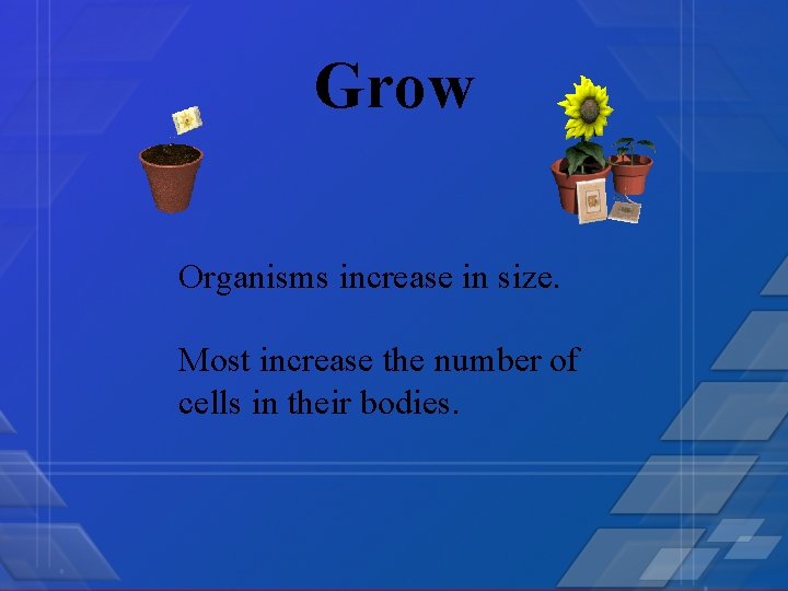 Grow Organisms increase in size. Most increase the number of cells in their bodies.