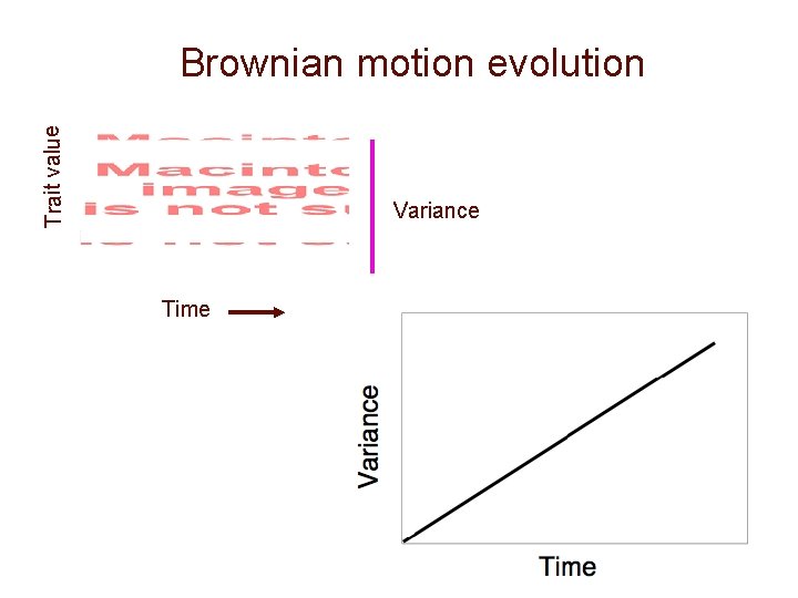 Trait value Brownian motion evolution Variance Time 