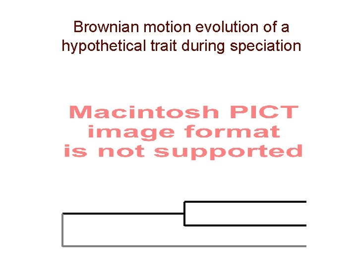 Brownian motion evolution of a hypothetical trait during speciation 