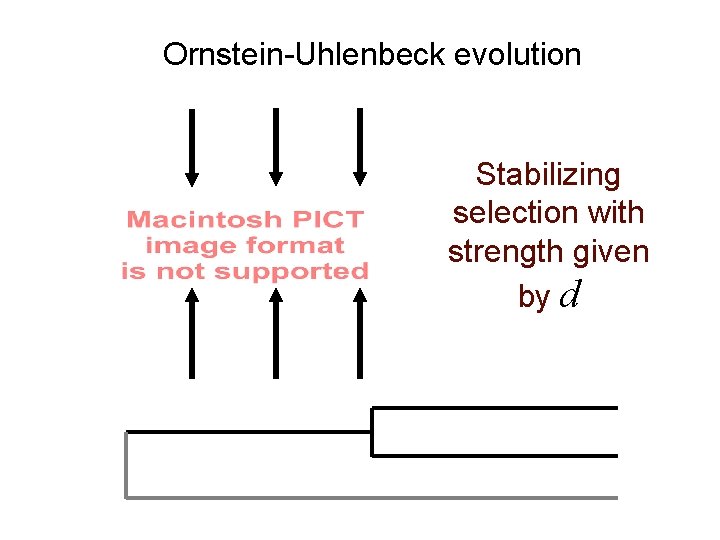 Ornstein-Uhlenbeck evolution Stabilizing selection with strength given by d 