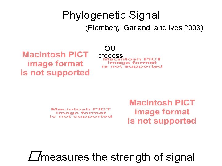 Phylogenetic Signal (Blomberg, Garland, and Ives 2003) OU process �measures the strength of signal