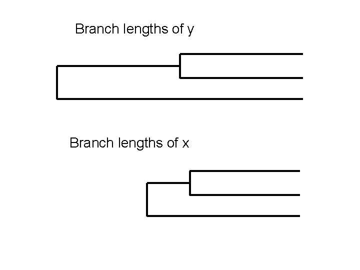 Branch lengths of y Branch lengths of x 