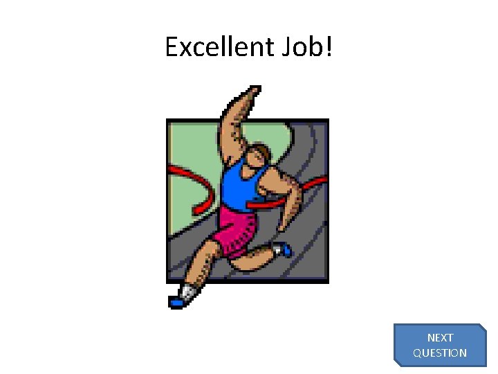 Excellent Job! NEXT QUESTION 29 