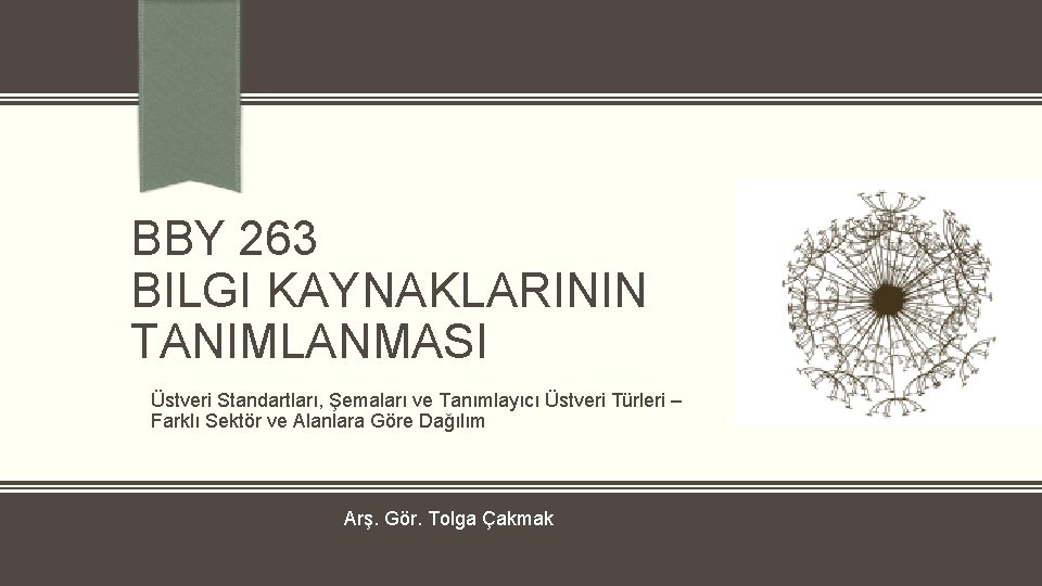 BBY 263 BILGI KAYNAKLARININ TANIMLANMASI Üstveri Standartları, Şemaları ve Tanımlayıcı Üstveri Türleri – Farklı