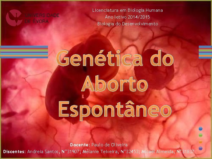Licenciatura em Biologia Humana Ano letivo 2014/2015 Biologia do Desenvolvimento Genética do Aborto Espontâneo
