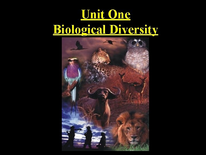 Unit One Biological Diversity 