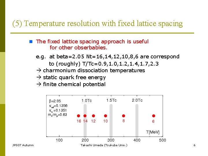 (5) Temperature resolution with fixed lattice spacing n　The fixed lattice spacing approach is useful